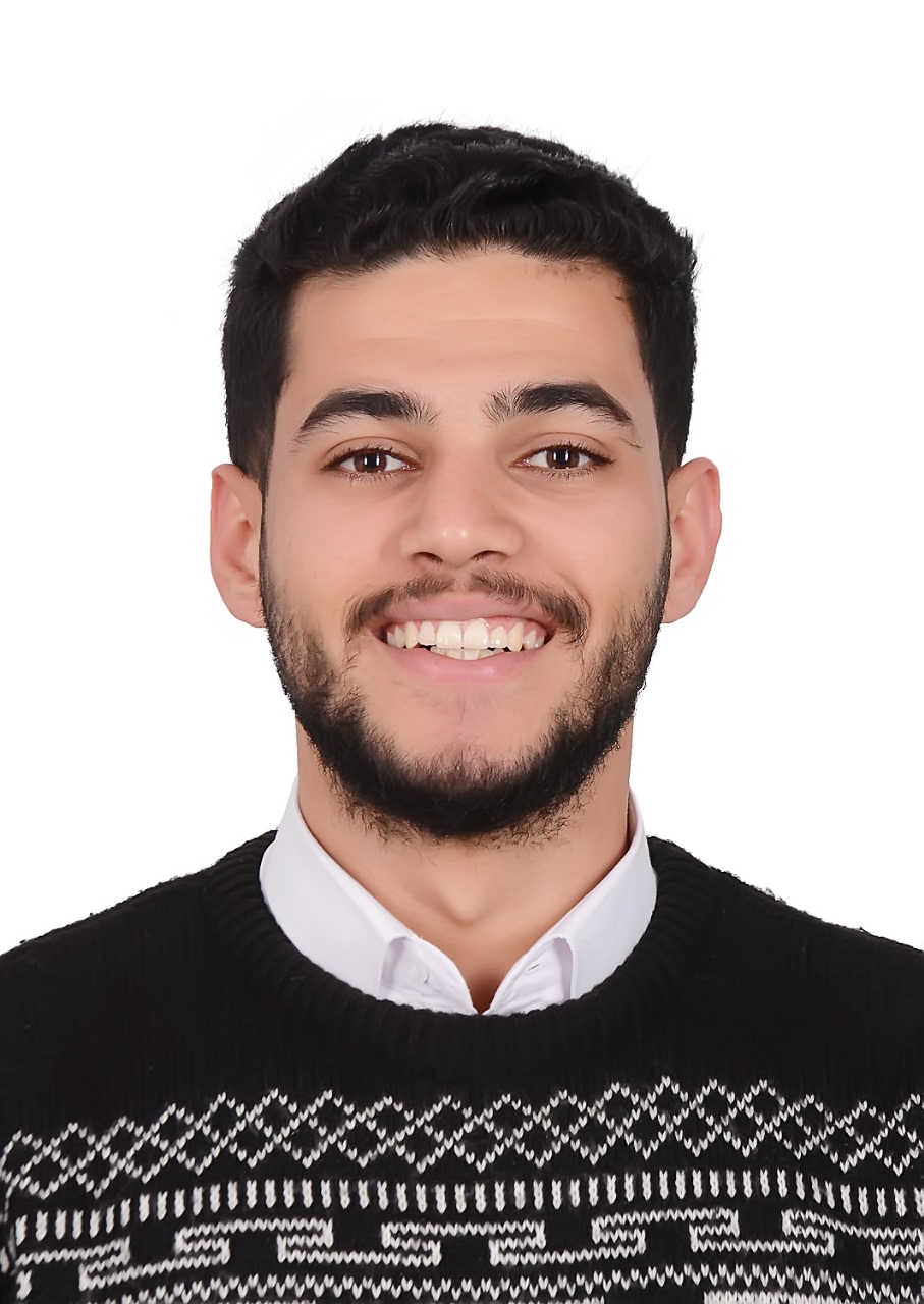 Ali Elbrashy
